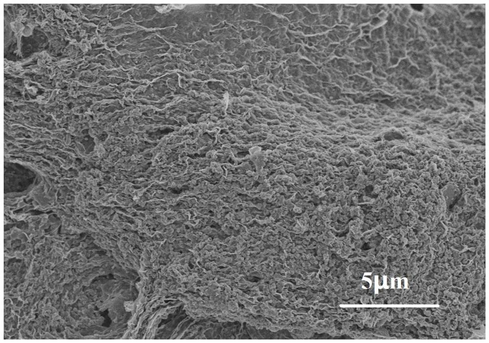 A preparation method of graphene-loaded iron oxide self-assembled mulberry-like structure lithium-ion battery negative electrode material