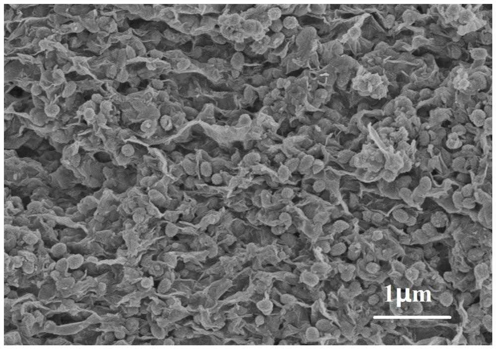 A preparation method of graphene-loaded iron oxide self-assembled mulberry-like structure lithium-ion battery negative electrode material