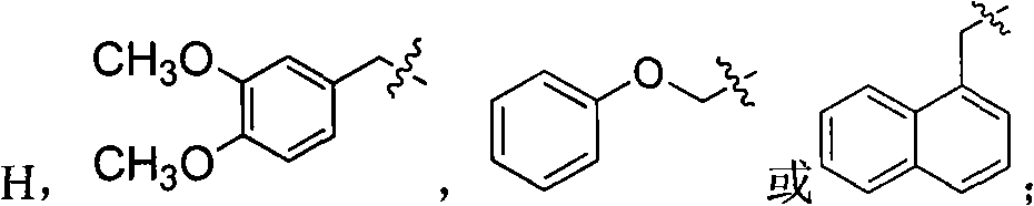 Tetrahydroisoquinoline derivative, preparation method and application thereof