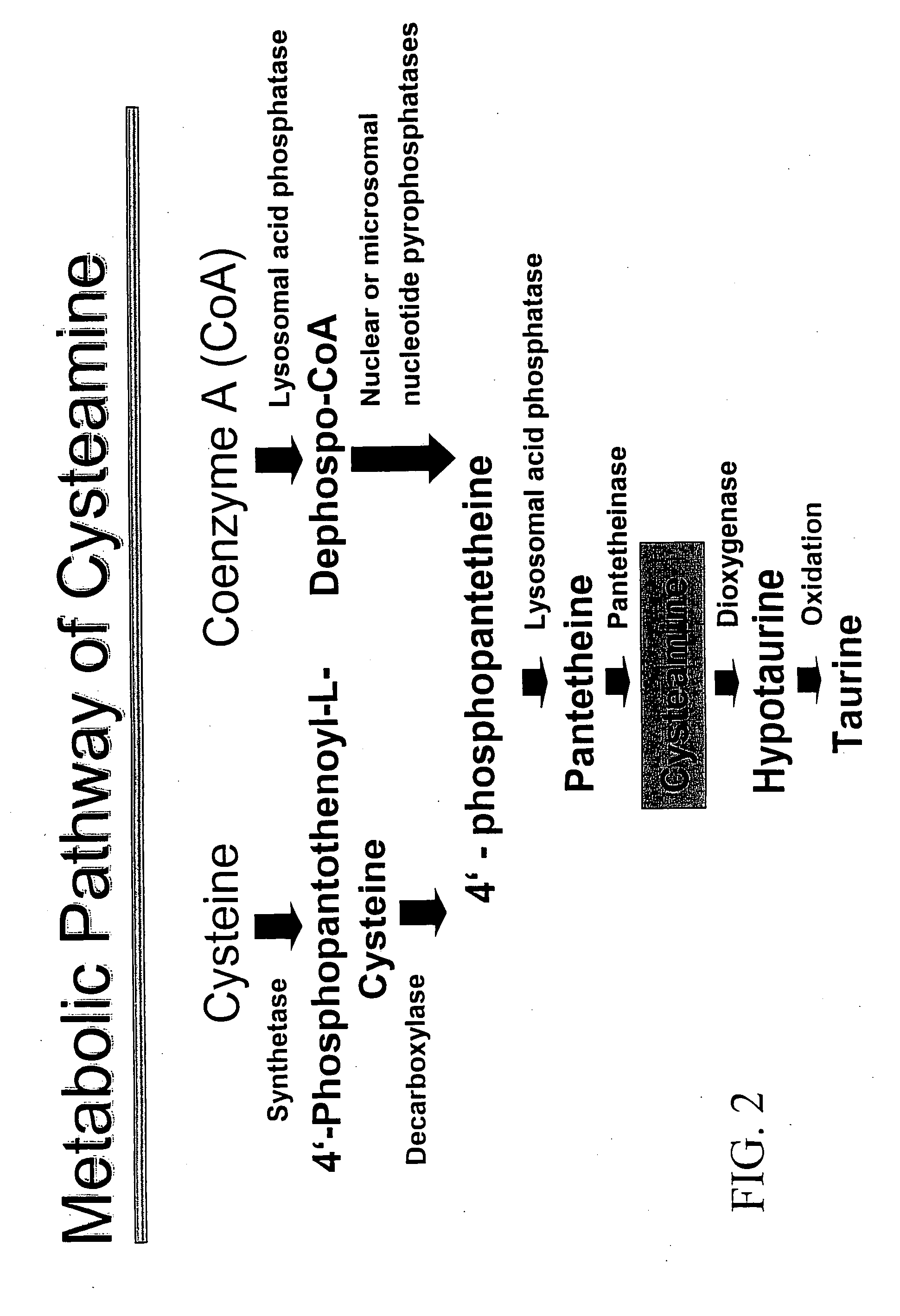 Materials and methods for treating viral infections