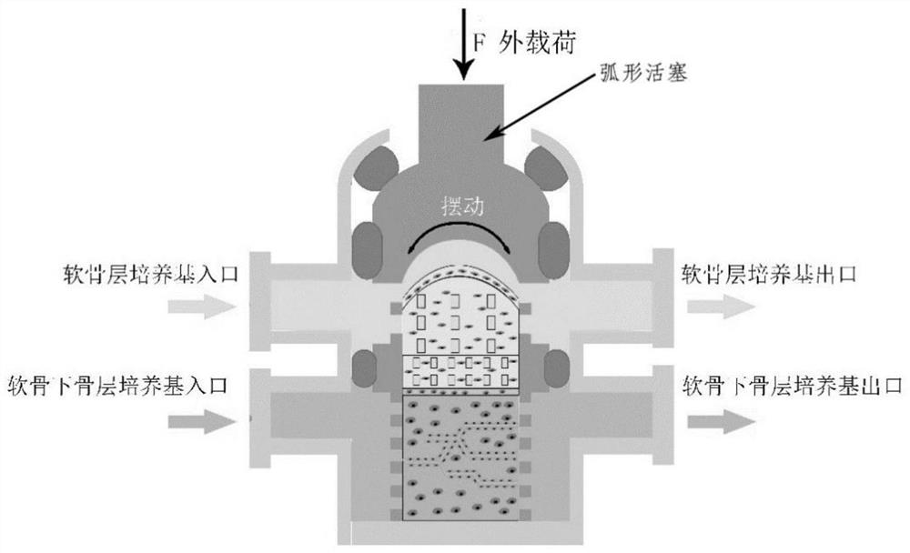 Multifunctional dynamic bioreactor for multiphase osteochondral scaffold