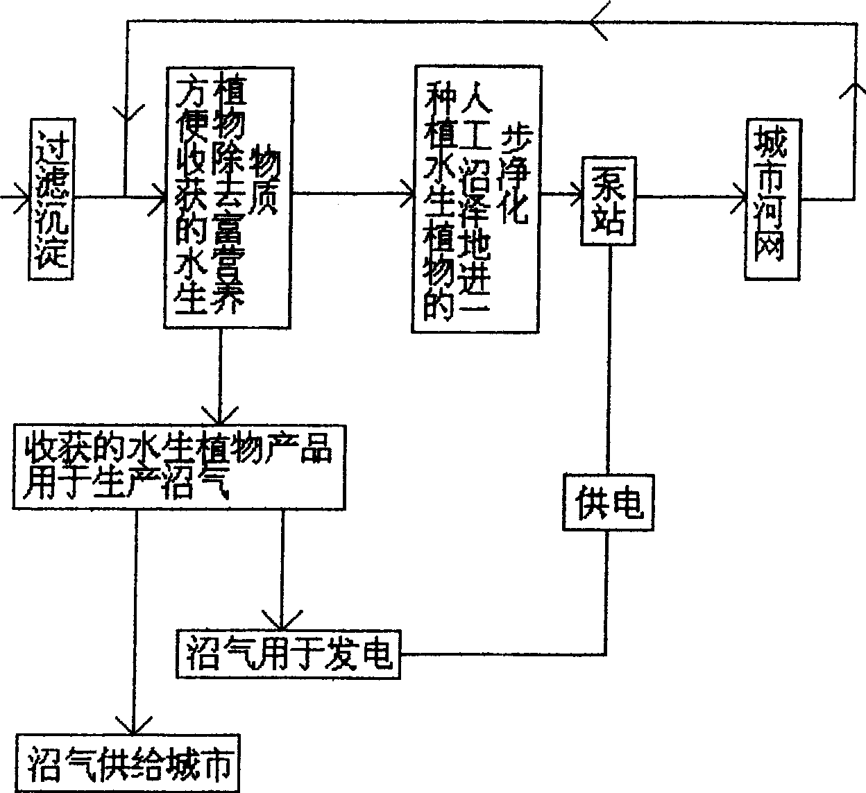 Method and apparatus for purifying and utilizing sewage for sustainable development type city