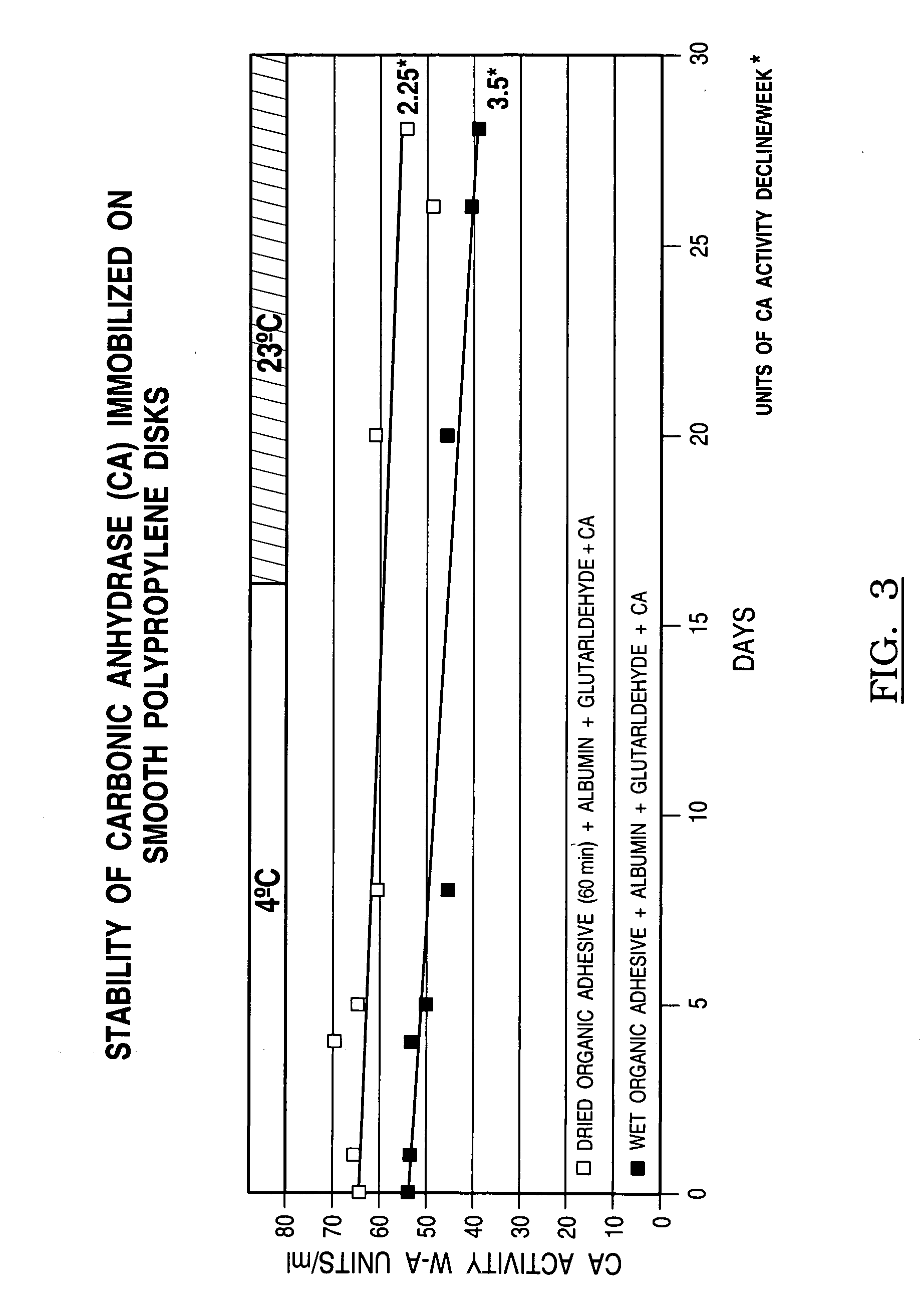 Process for immobilization of protein catalysts, product, and use