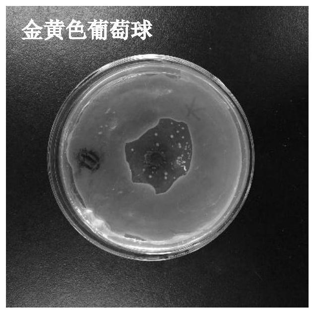 A kind of preparation method of compound corn silk chewable tablet with regulating intestinal flora