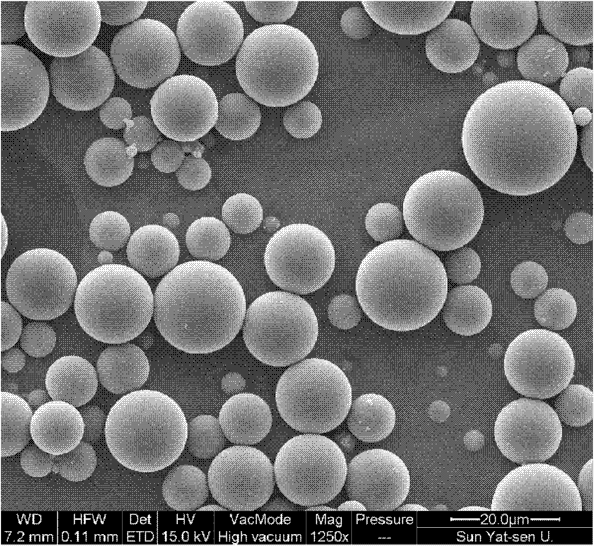 A kind of chitosan hollow microcapsule and preparation method thereof