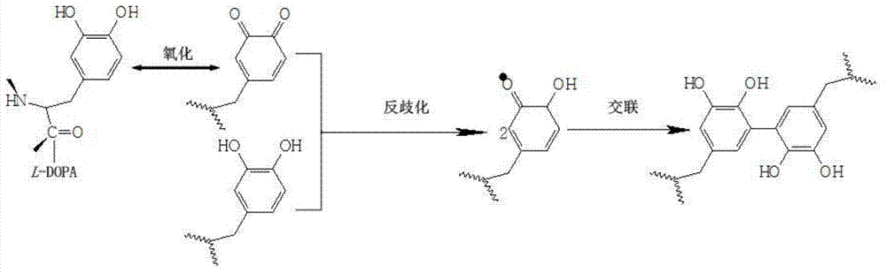Inorganic filler and dopamine compound inorganic and organic hybrid membrane as well as preparation method and application of membrane