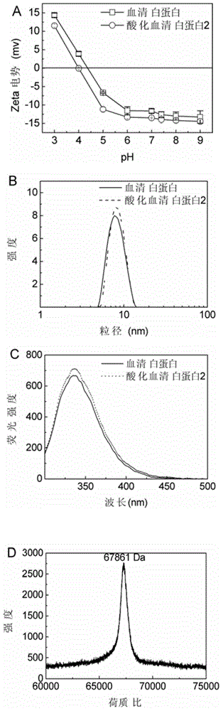 Acidified albumin and preparation method thereof, and application of acidified albumin in inhibiting beta-amyloid protein aggregation