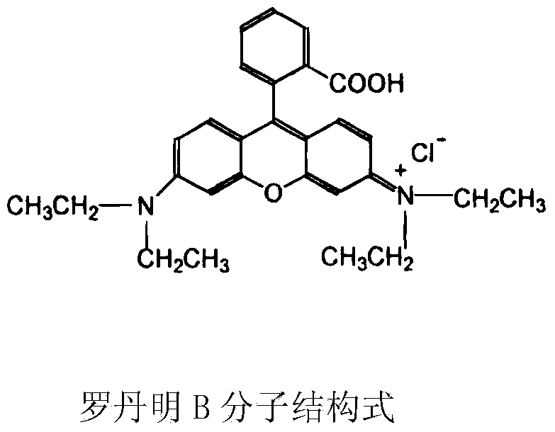 Biomass absorbing agent for treating rose-bengal dyeing wastewater as well as preparation method and application of biomass absorbing agent