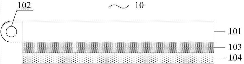 Optical module and reflective display device