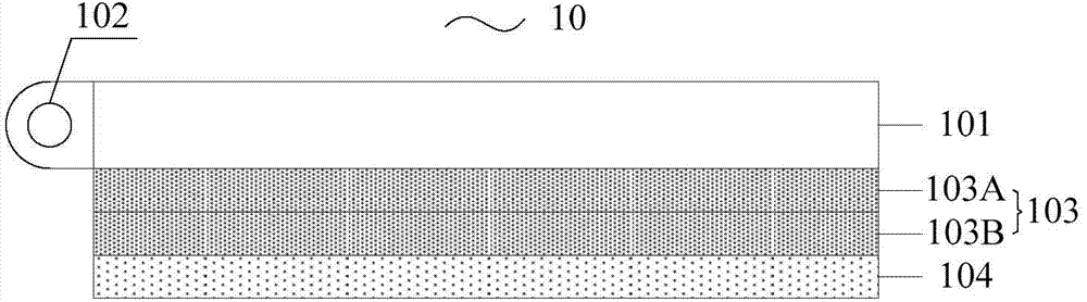 Optical module and reflective display device