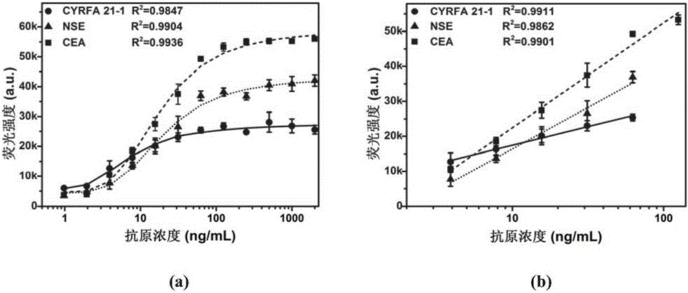 Quantum dot fluorescent probe and application thereof