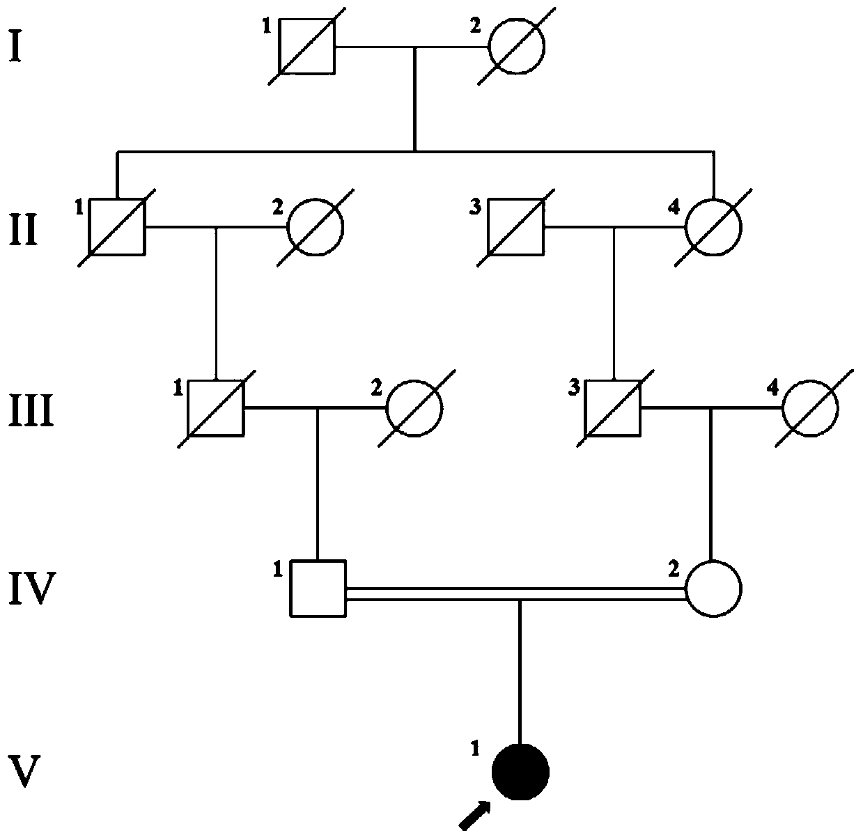 A pathogenic mutation of hereditary usher syndrome and its detection reagent