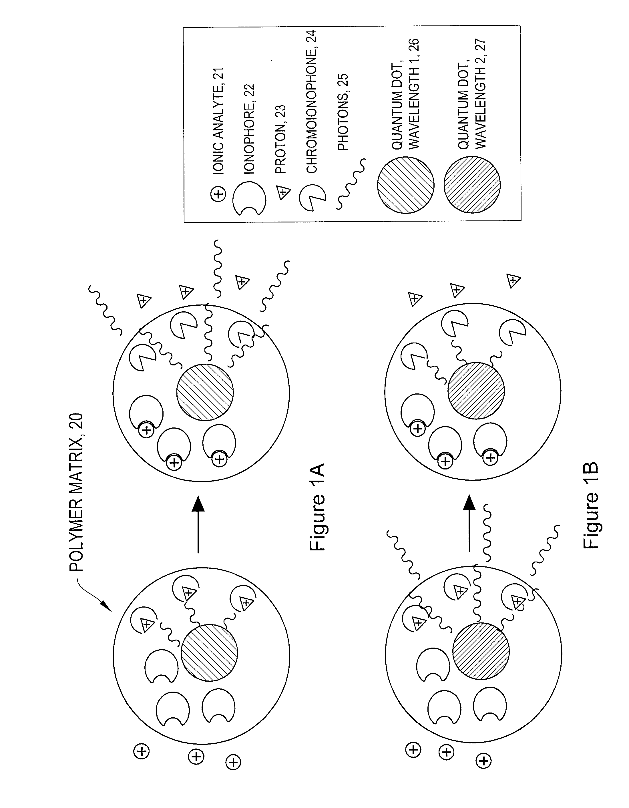Intracellular nanosensors and methods for their introduction into cells