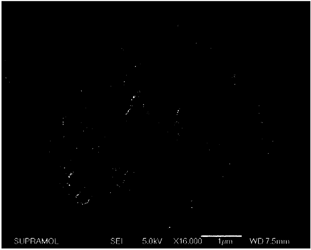 A kind of preparation method of egg yolk type Fenton microreactor loaded with precious metal nanoparticles on the inner surface