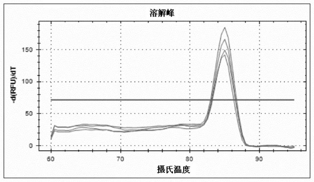 RT-qPCR detection method of slc2a9/glut9 gene transcription level in macaques