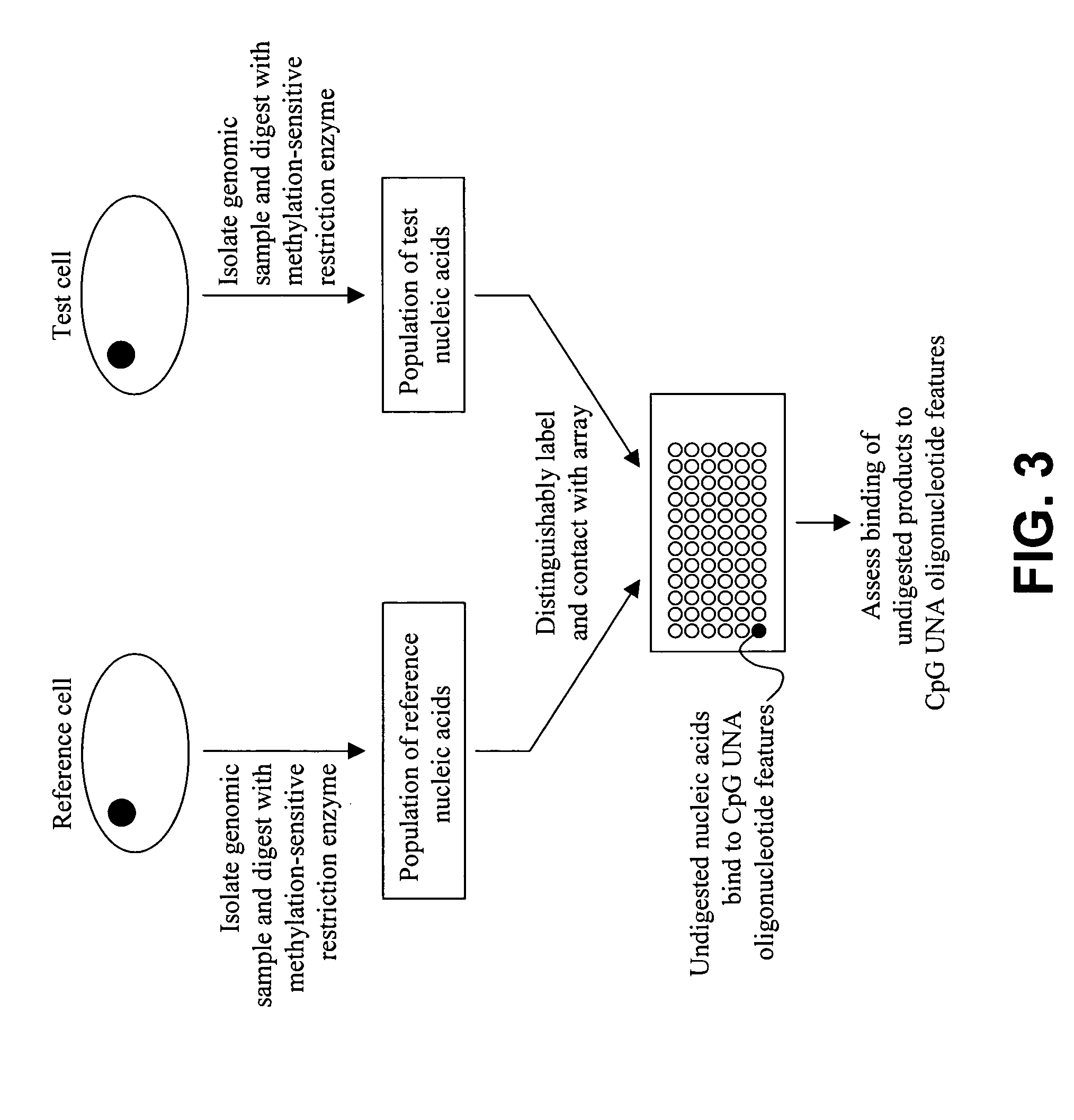 Methods and compositions for assessing CpG methylation