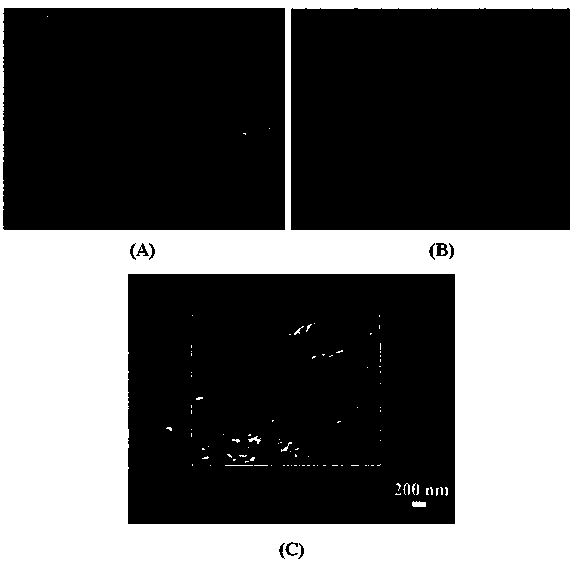 A kind of preparation method of phosphoric acid-doped layer-by-layer self-assembled polymer composite film