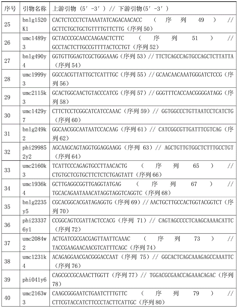 Seed production method of nk971 three-line matching hybrid