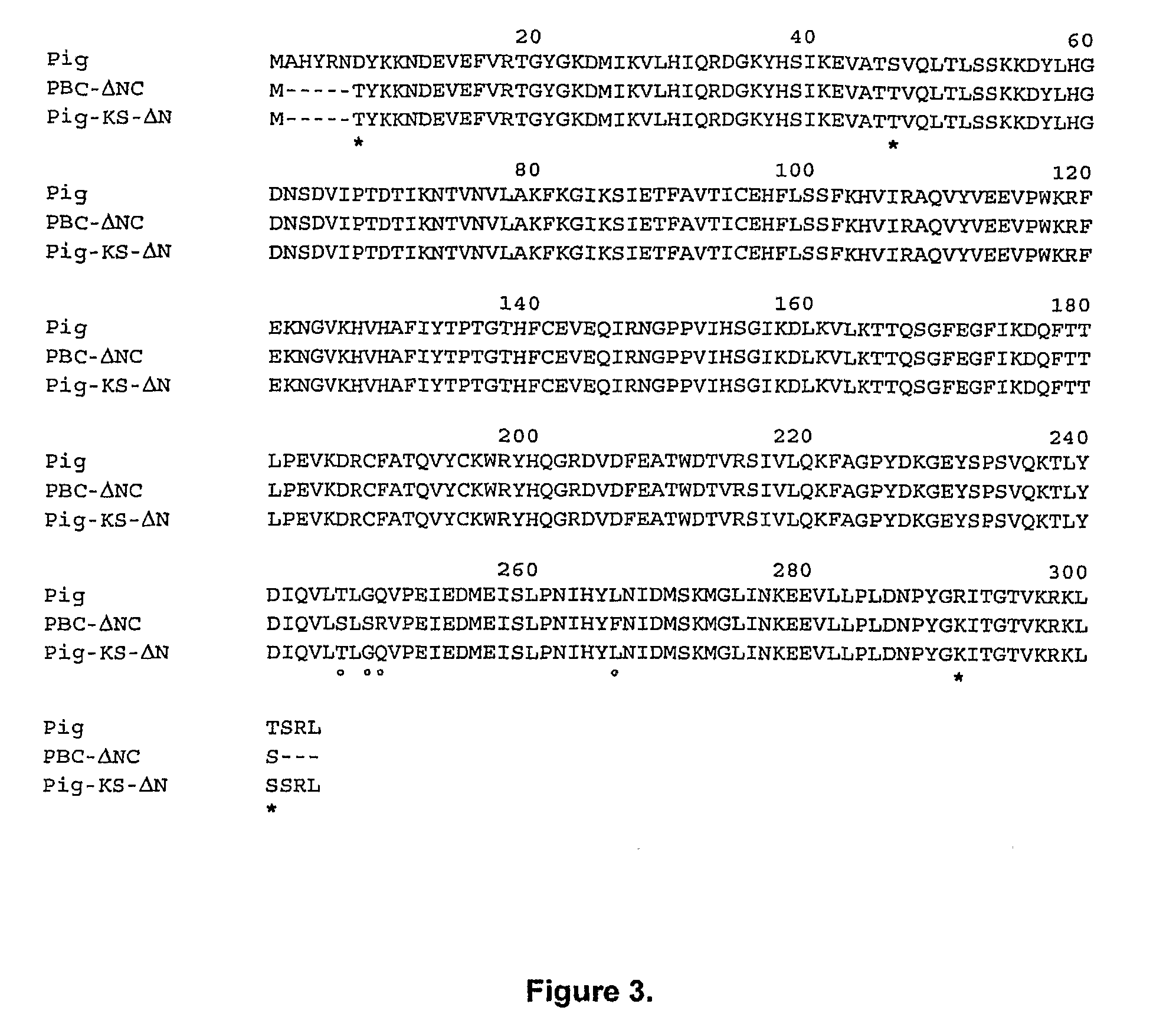 Variant forms of urate oxidase and use thereof