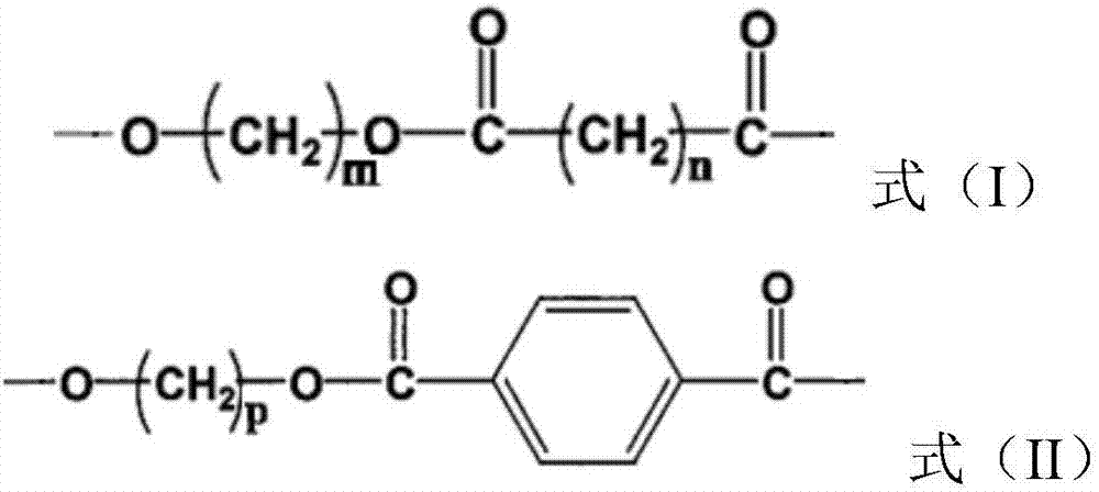 Polyester composition, and preparation method thereof