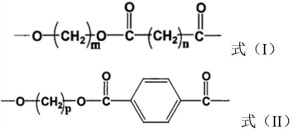 Polyester composition, and preparation method thereof