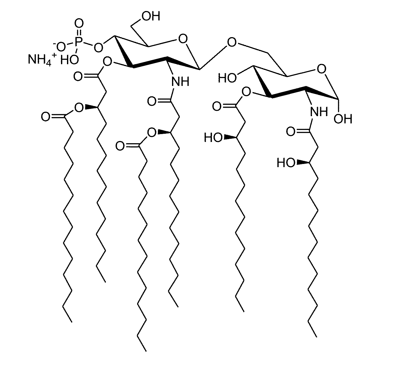 Compositions of vaccines and adjuvants and methods for the treatment of urinary tract infections