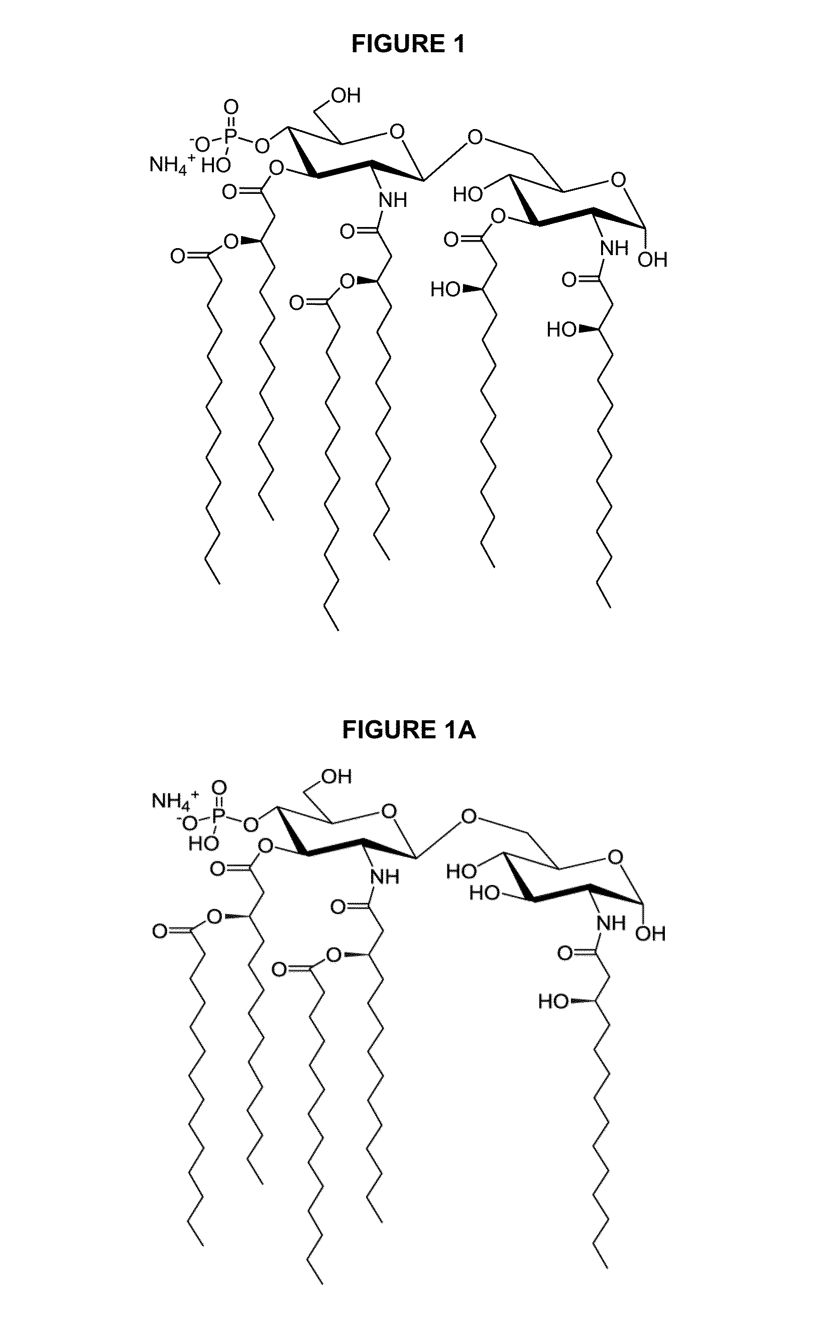 Compositions of vaccines and adjuvants and methods for the treatment of urinary tract infections