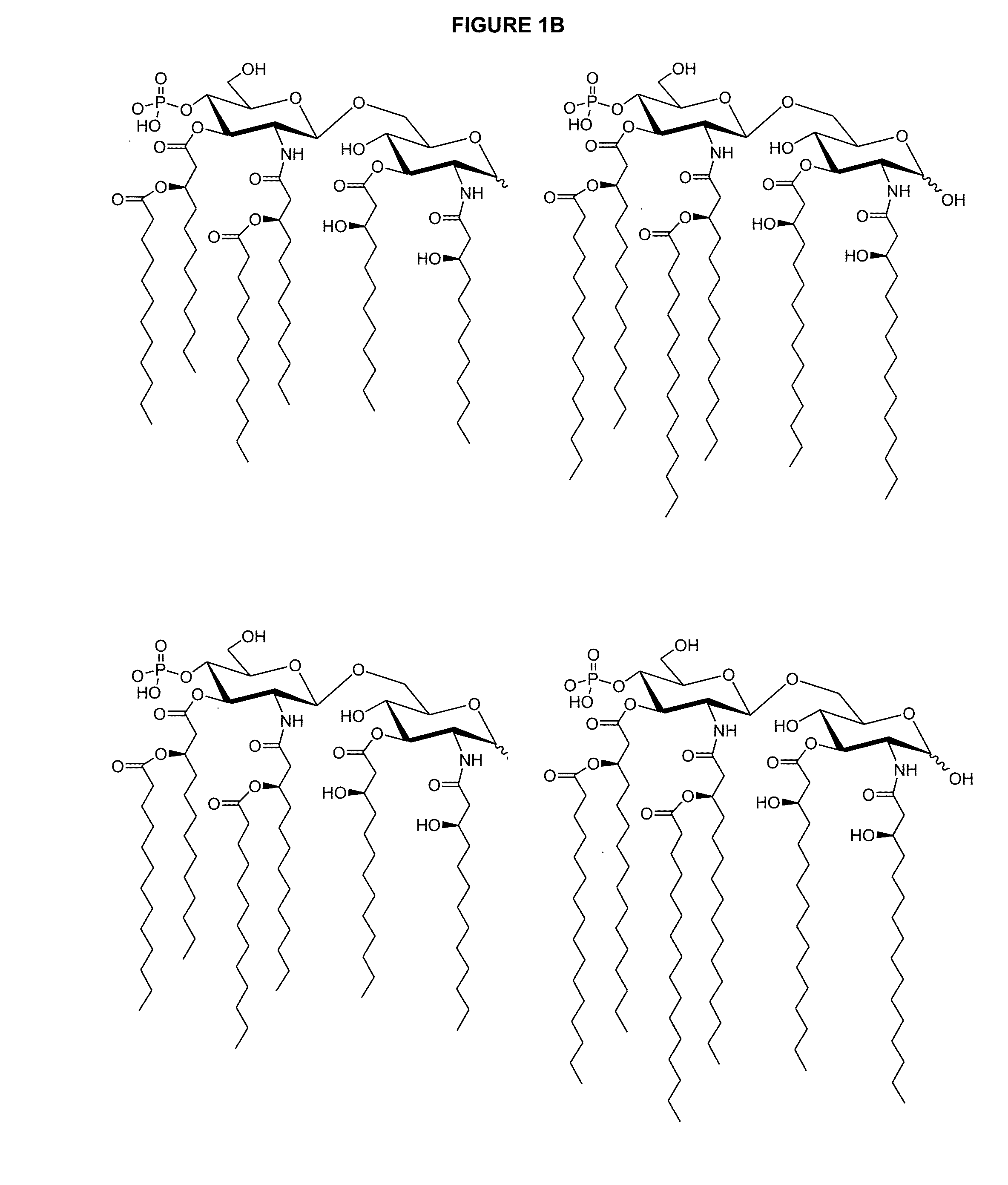 Compositions of vaccines and adjuvants and methods for the treatment of urinary tract infections