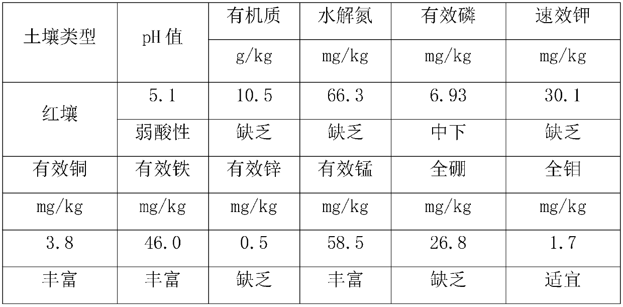 Microbalance ecological fertilizer special for yellow peaches and preparation method thereof