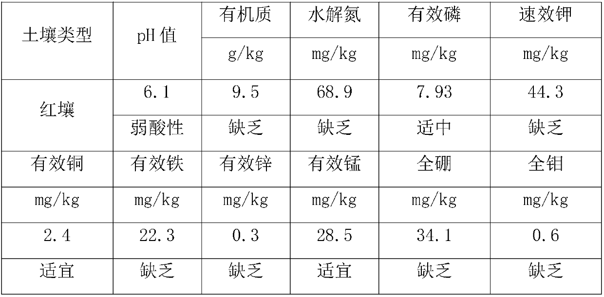 Microbalance ecological fertilizer special for yellow peaches and preparation method thereof