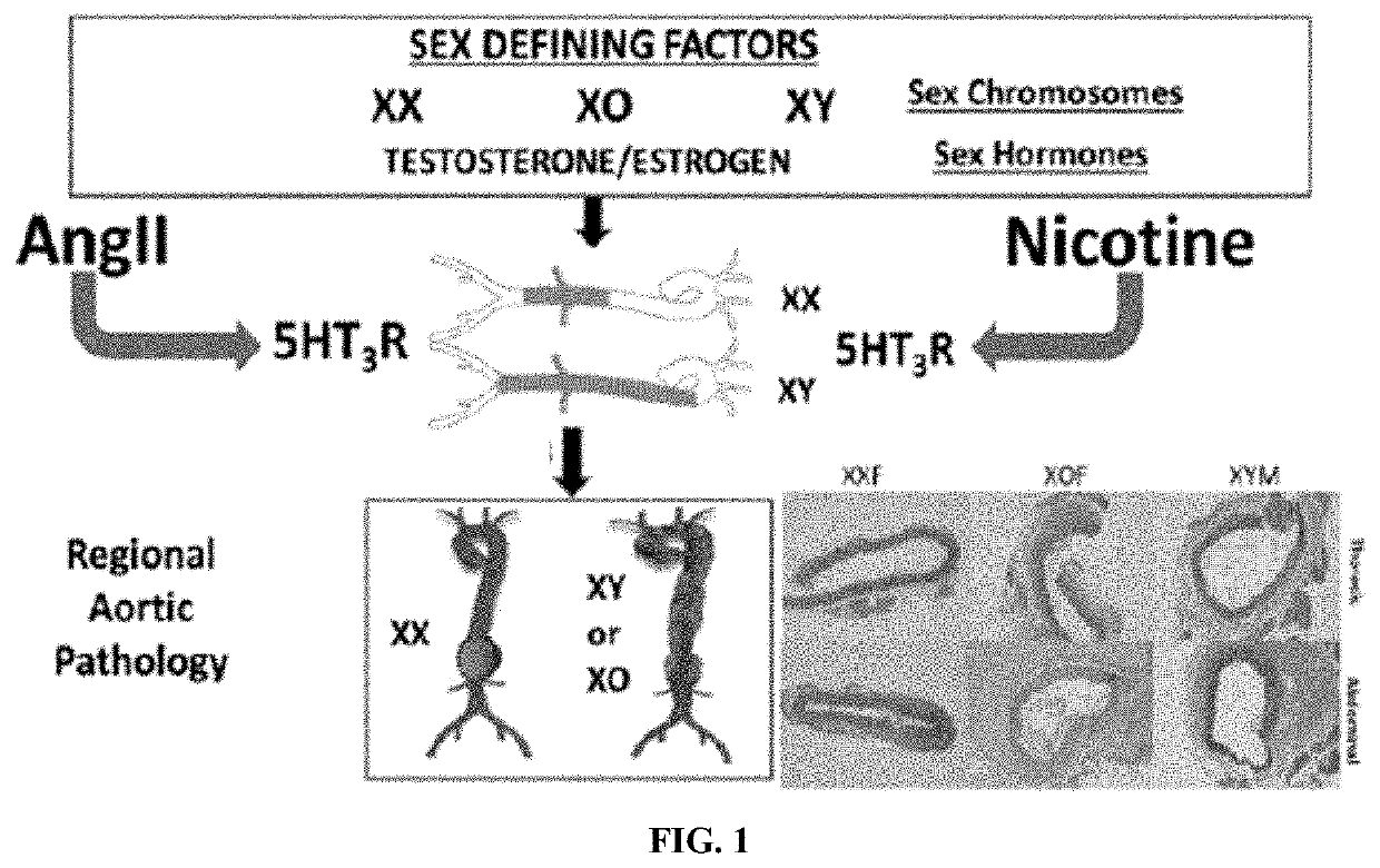 5HT3R Antagonist For Use in Treating Aneurysms and Cardiovascular Risk