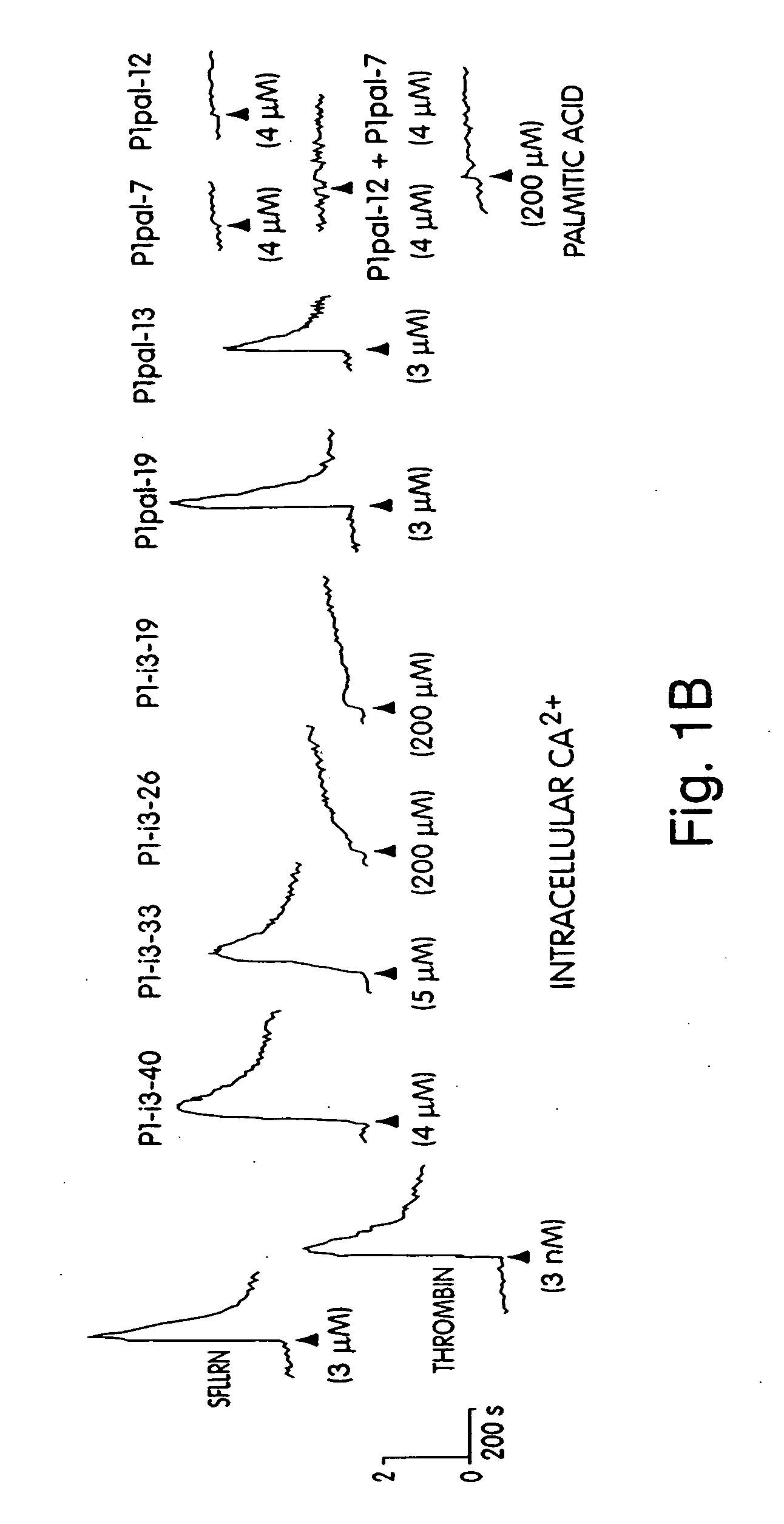G protein coupled receptor agonists and antagonists and methods of activating and inhibiting G protein coupled receptors using the same