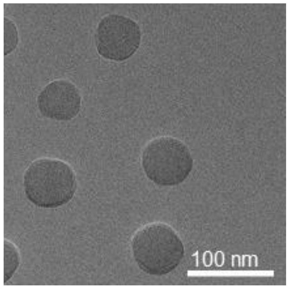 A kind of iron/shikonin nanocomposite, preparation method of its supramolecular self-assembly and application of the nanocomposite