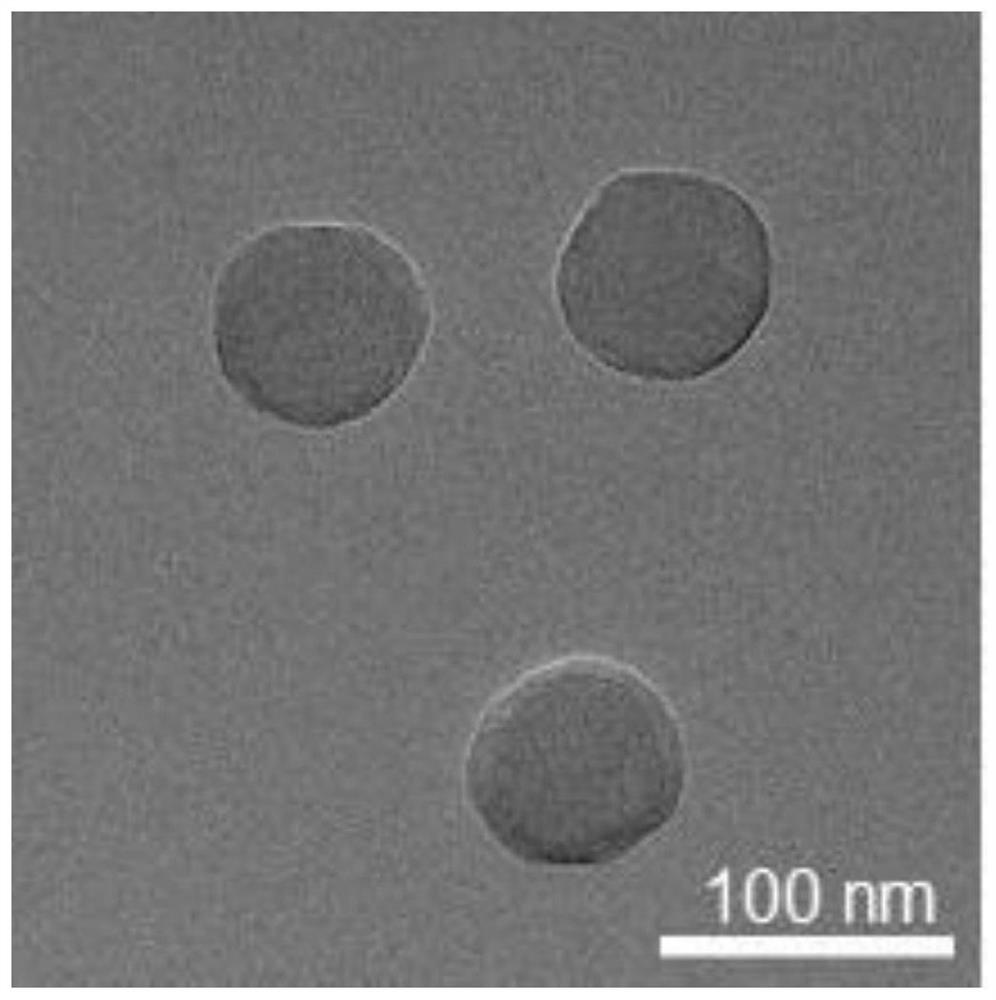 A kind of iron/shikonin nanocomposite, preparation method of its supramolecular self-assembly and application of the nanocomposite