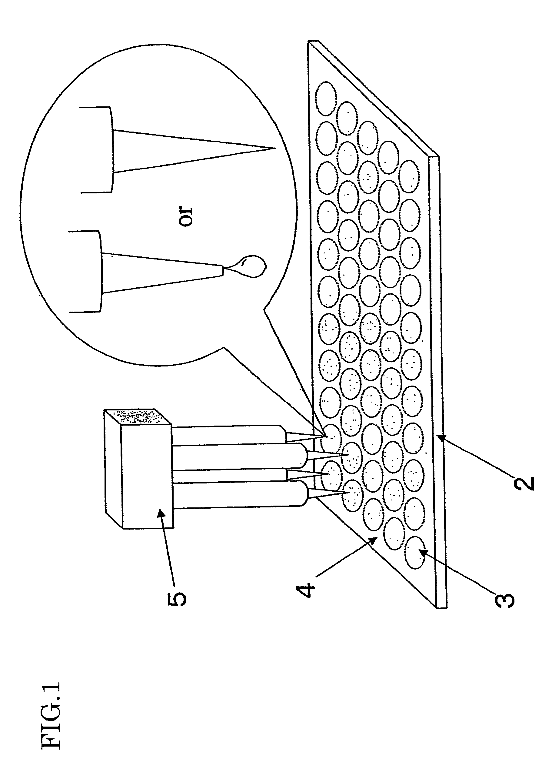 Microarray and microarray substrate