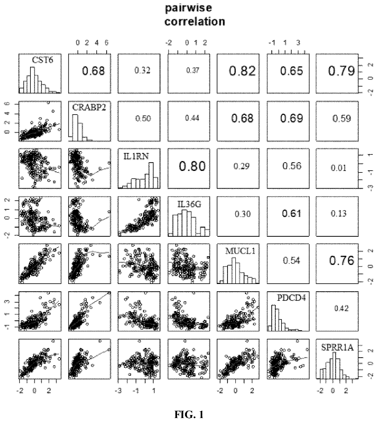 Gene classifiers for use in monitoring UV damage