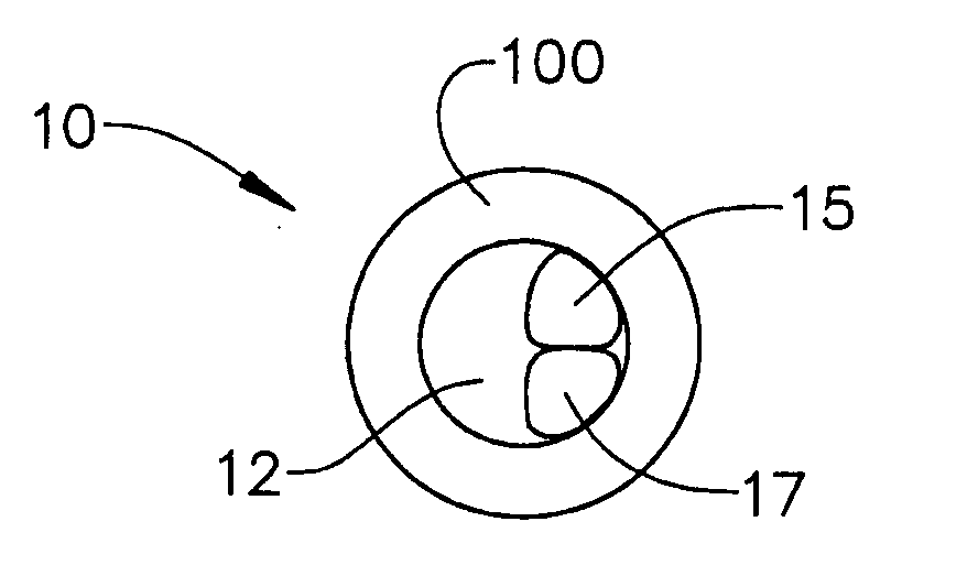 Cannulated femoral hip implant apparatus