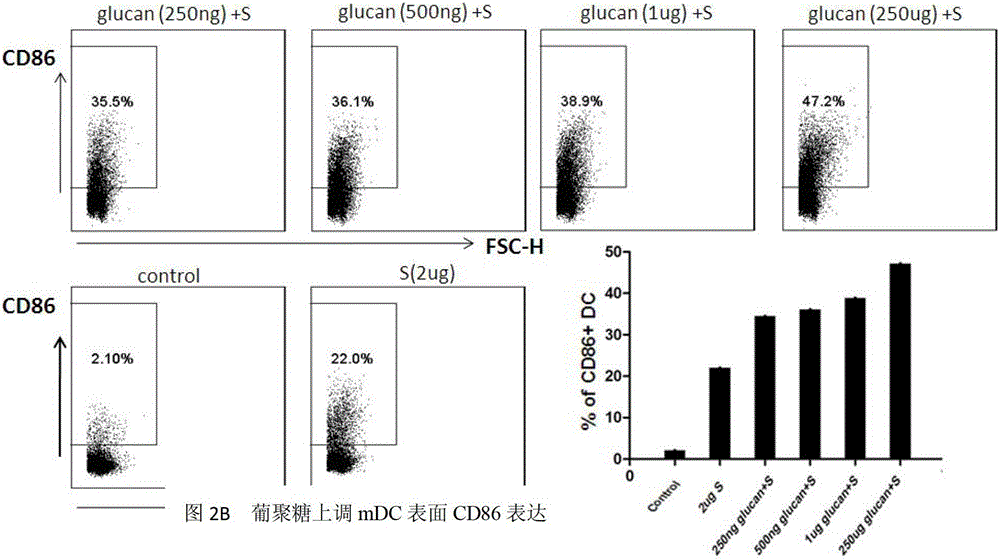 Application of yeast-derived dextran in the preparation of medicines for treating hepatitis B virus infection