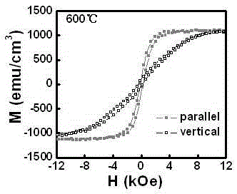 Nanostructure multifunctional ferromagnetic composite film material and preparation method