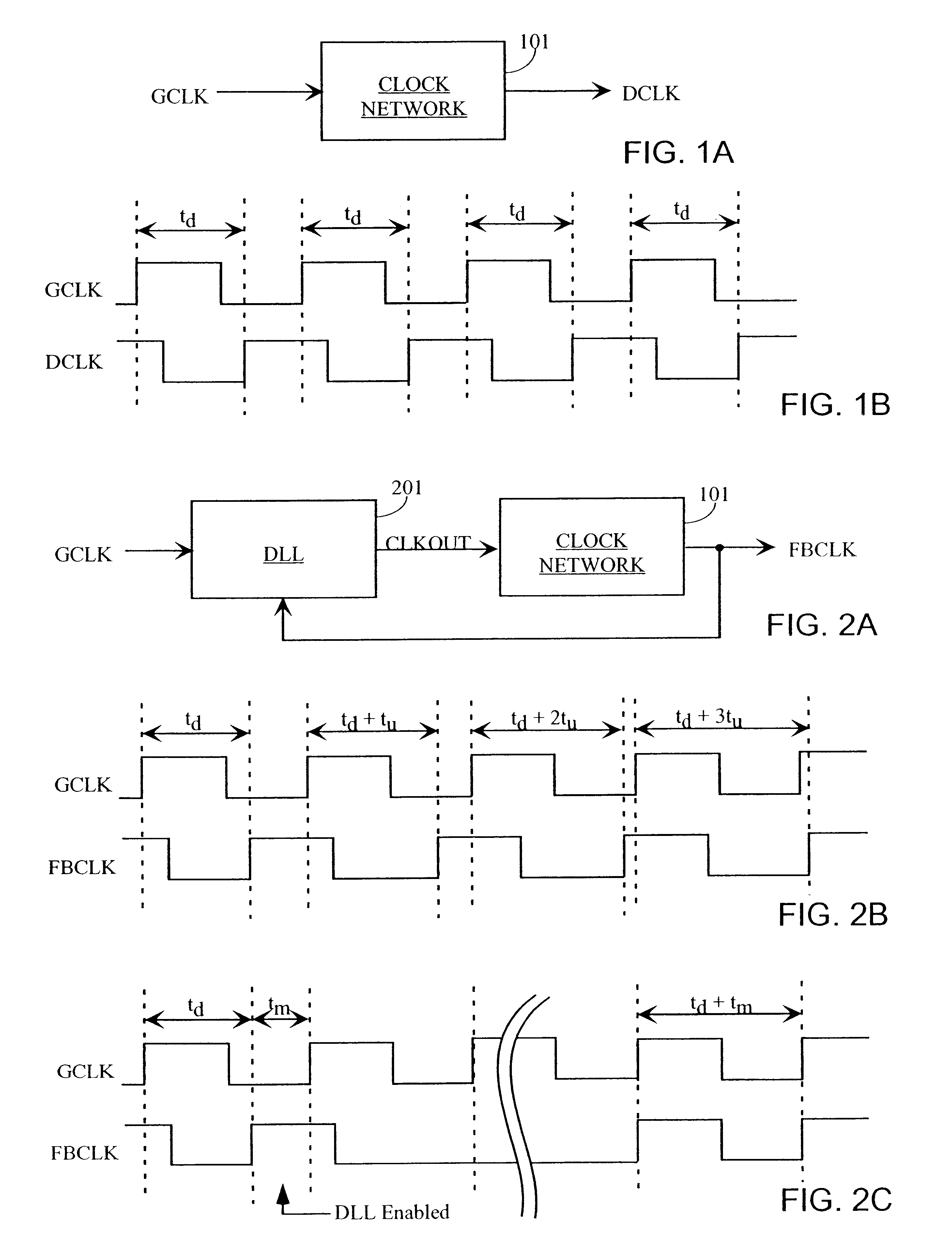 Direct-measured DLL circuit and method