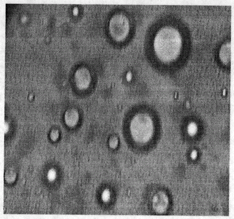 Micro-capsulated suspended microbial seed coating agent and preparation method thereof