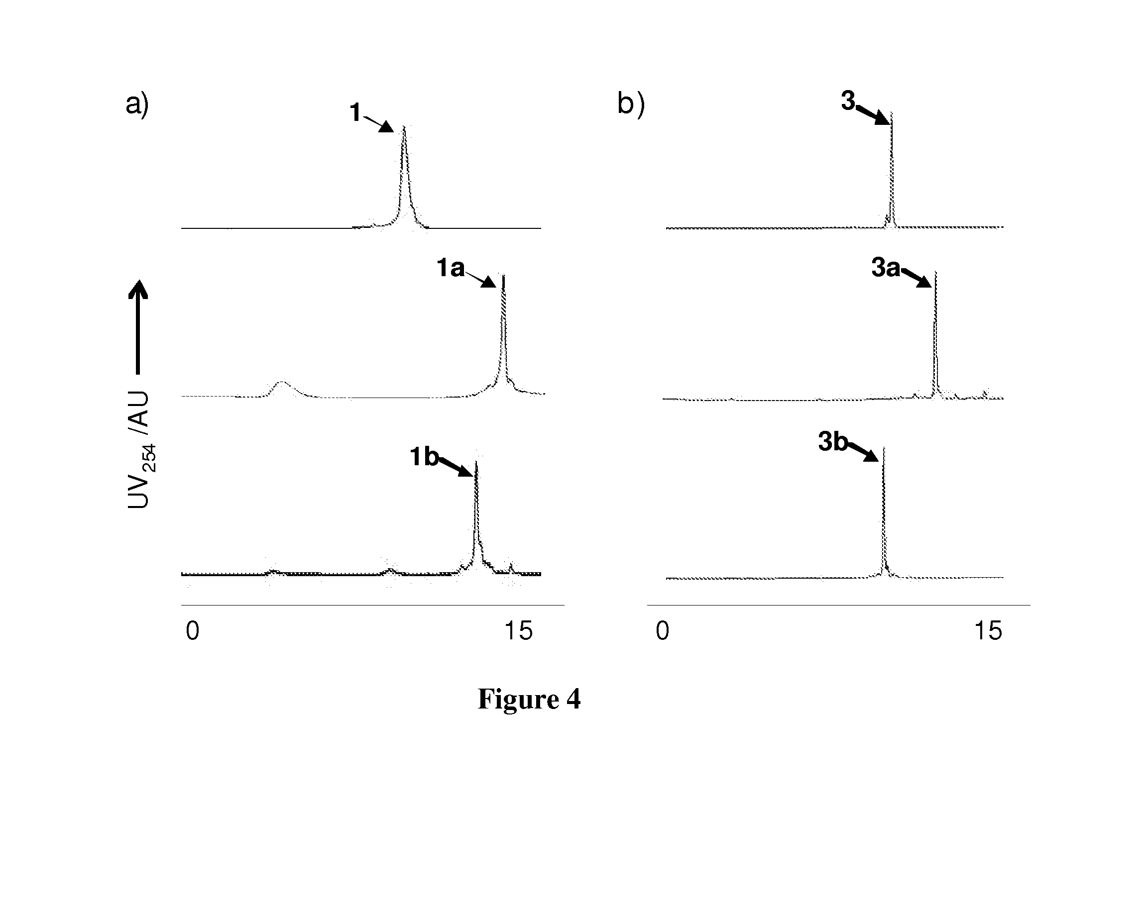 Cross-Linked Peptides and Proteins, Methods of Making Same, and Uses Thereof