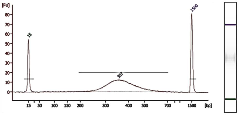 A method for detecting microbial target sequences based on single-primer probe capture