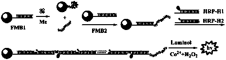 Method for determining melamine (Me) by chemiluminescence