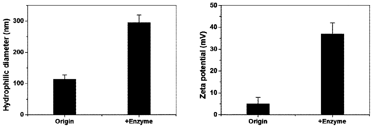 Gold nanoflower with liver cancer targeting and radiotherapy sensitivity characteristics and preparation and application thereof