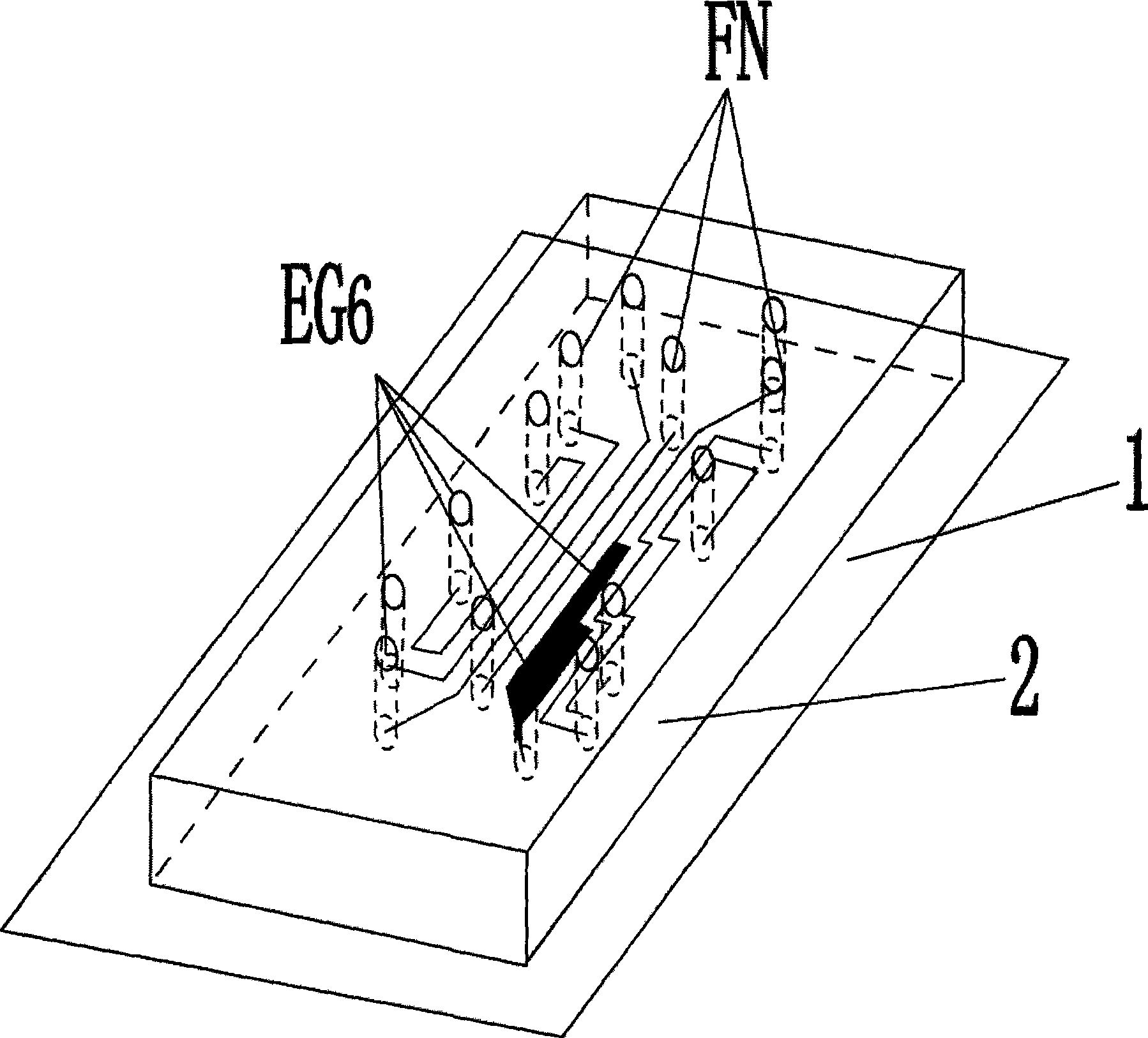 Apparatus for ordered adhering various cells to setting position of same substrate and adhesion method