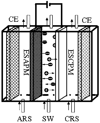 Separation process of electronic control ion selective permeable membrane