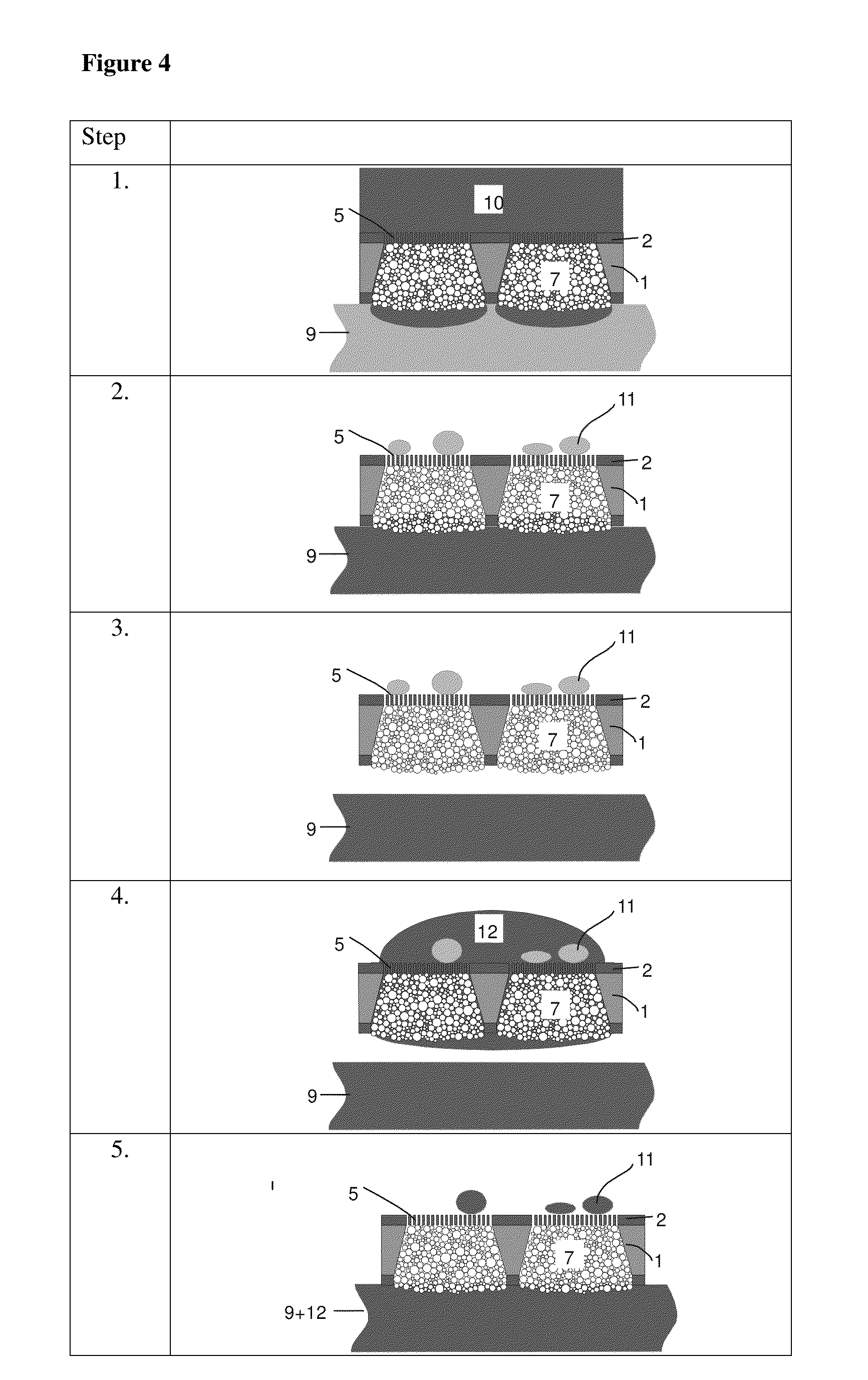 Microsieve Diagnostic Device In The Isolation and Analysis of Single Cells