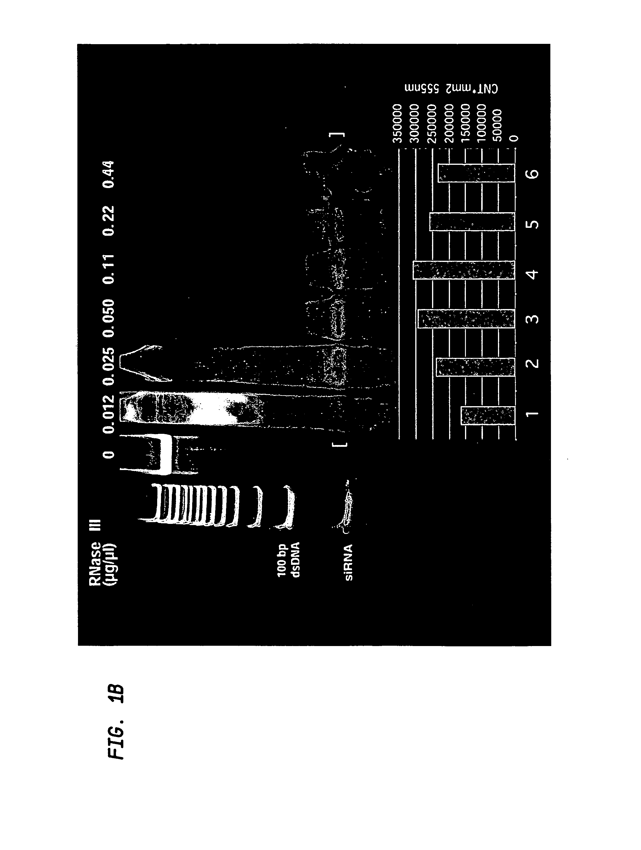 Methods and compositions relating to gene silencing