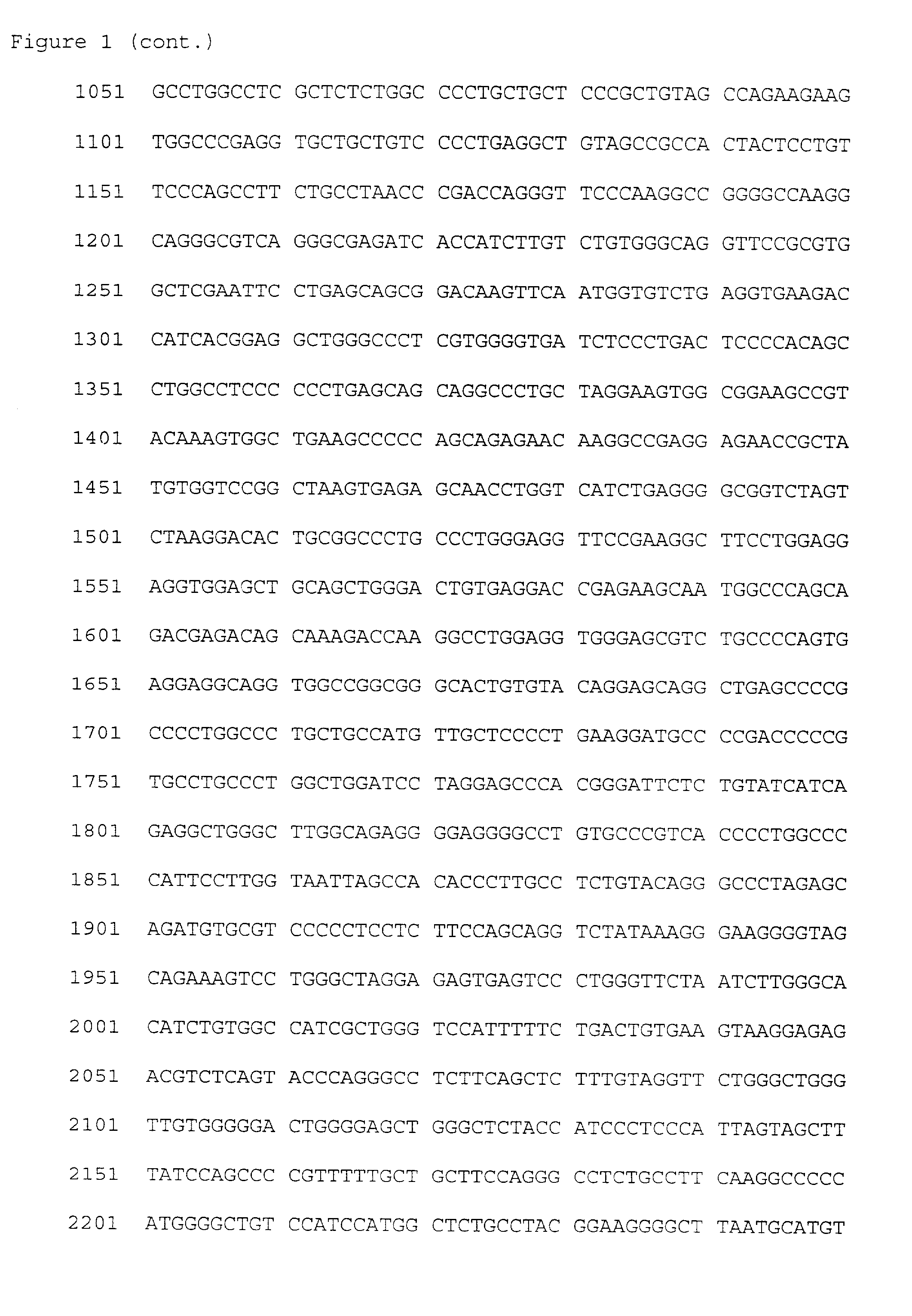 TNFr/OPG-like molecules and uses thereof